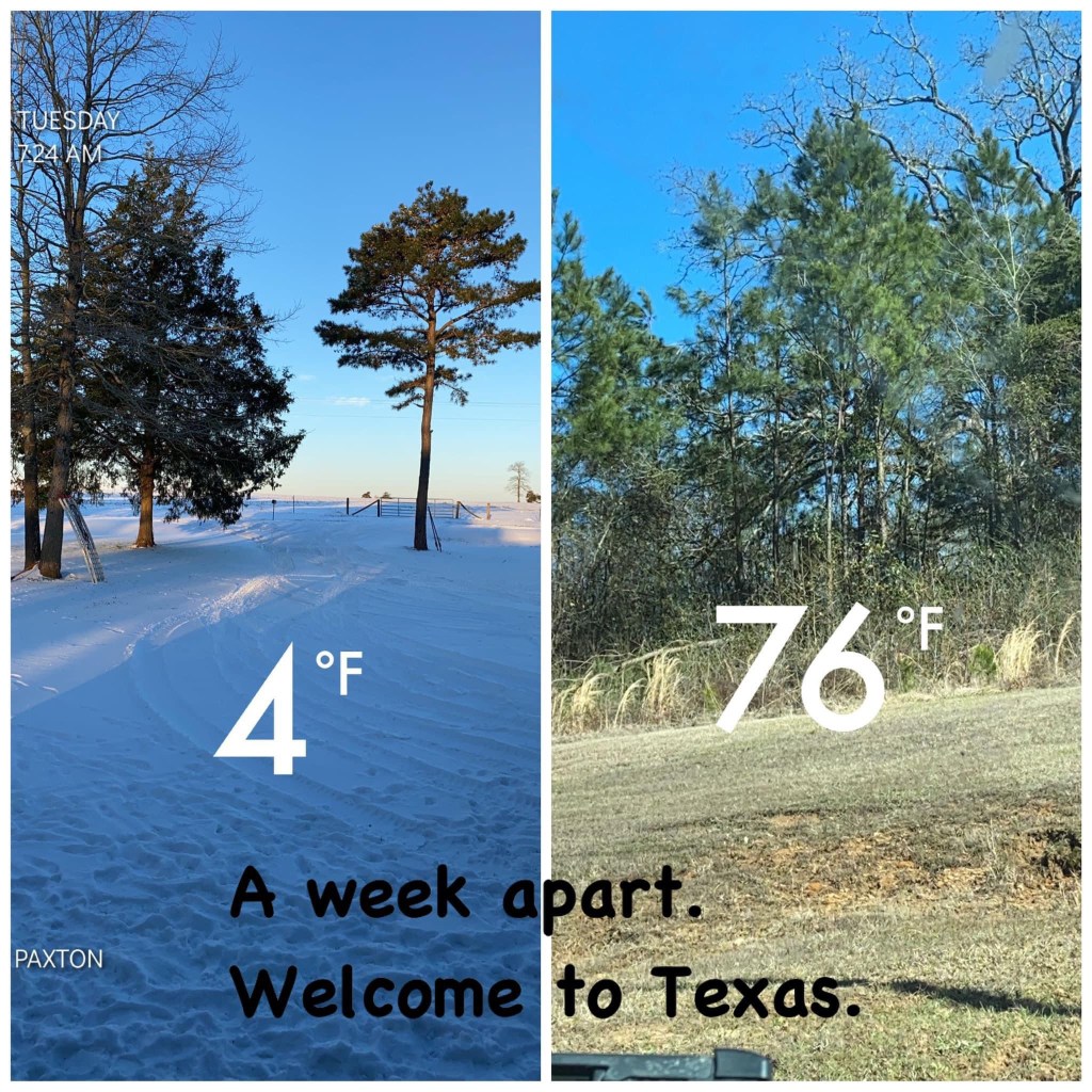 A Test of Patience and&nbsp;Humanity.